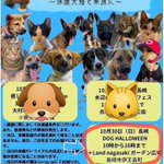 ツイートに含まれる画像