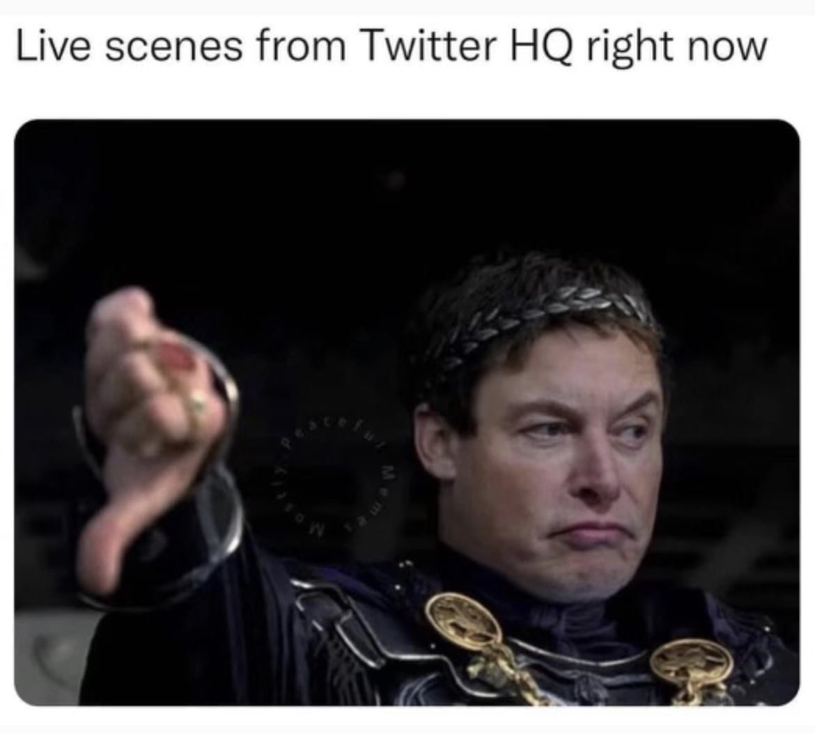 Elon is about to shake it up. META down and watch Twitter double in value! 

#EGT #Elon #ETH #Ethereum #BTC #BNB #BSC #VOLTARMY #SHIBA #Shibarmy #DOGE #Crypto