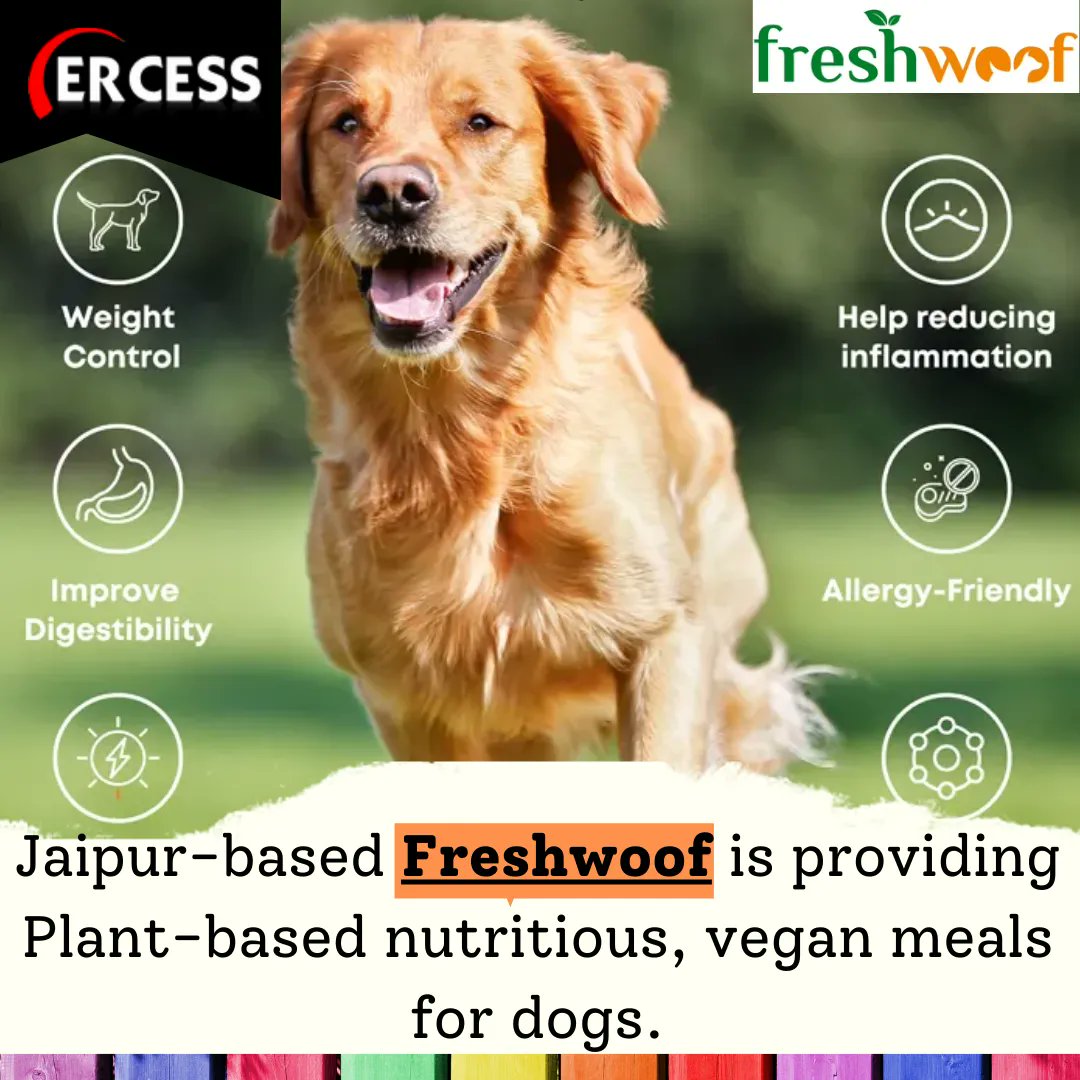 ErcessLive's tweet photo. Rajasthan based FreshWoof is home-style hand cooked complementy dog food made from 100% natural, human-grade, high-quality, meatless, and wholesome ingredients along with organic seeds. There are no preservatives, chemicals, by-products and artificial ingredients used.
#freshwoof https://t.co/AtCWcPYUHo
