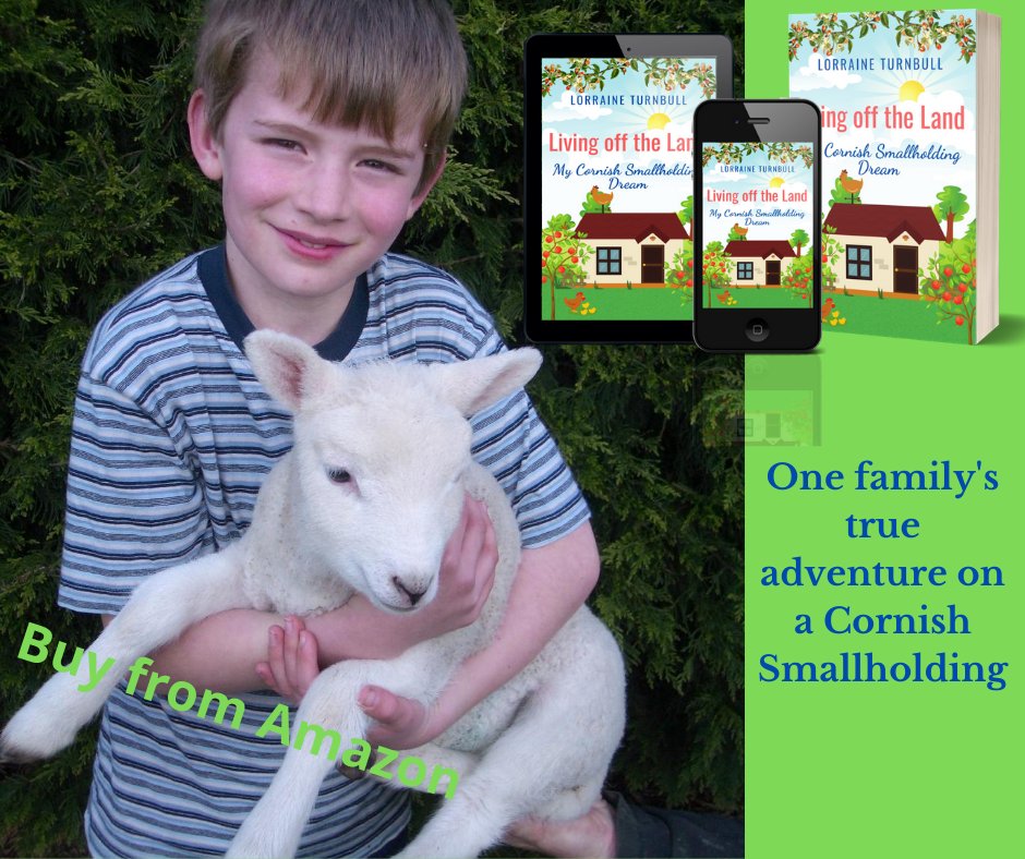 LorraineAuthor's tweet photo. The #GoodLife really can be your best life. https://t.co/cJmdRwBRbb #smallholding #Sustainability #countrygirl #countryside #familyfun #Familylove #farming #homesteading #Cornwall #movetothecountry #countryliving #lifestyle https://t.co/gbqbyo4Stb