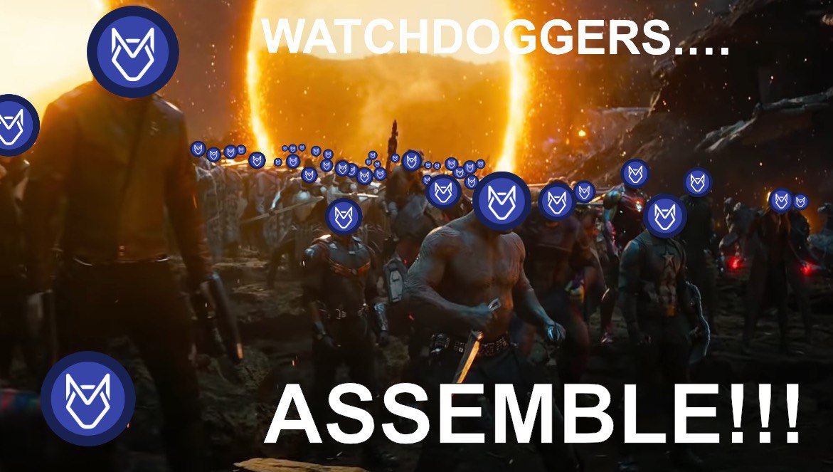WatchdogDeFi's tweet photo. @BrisketCrypto https://t.co/FBgWPGsgoT