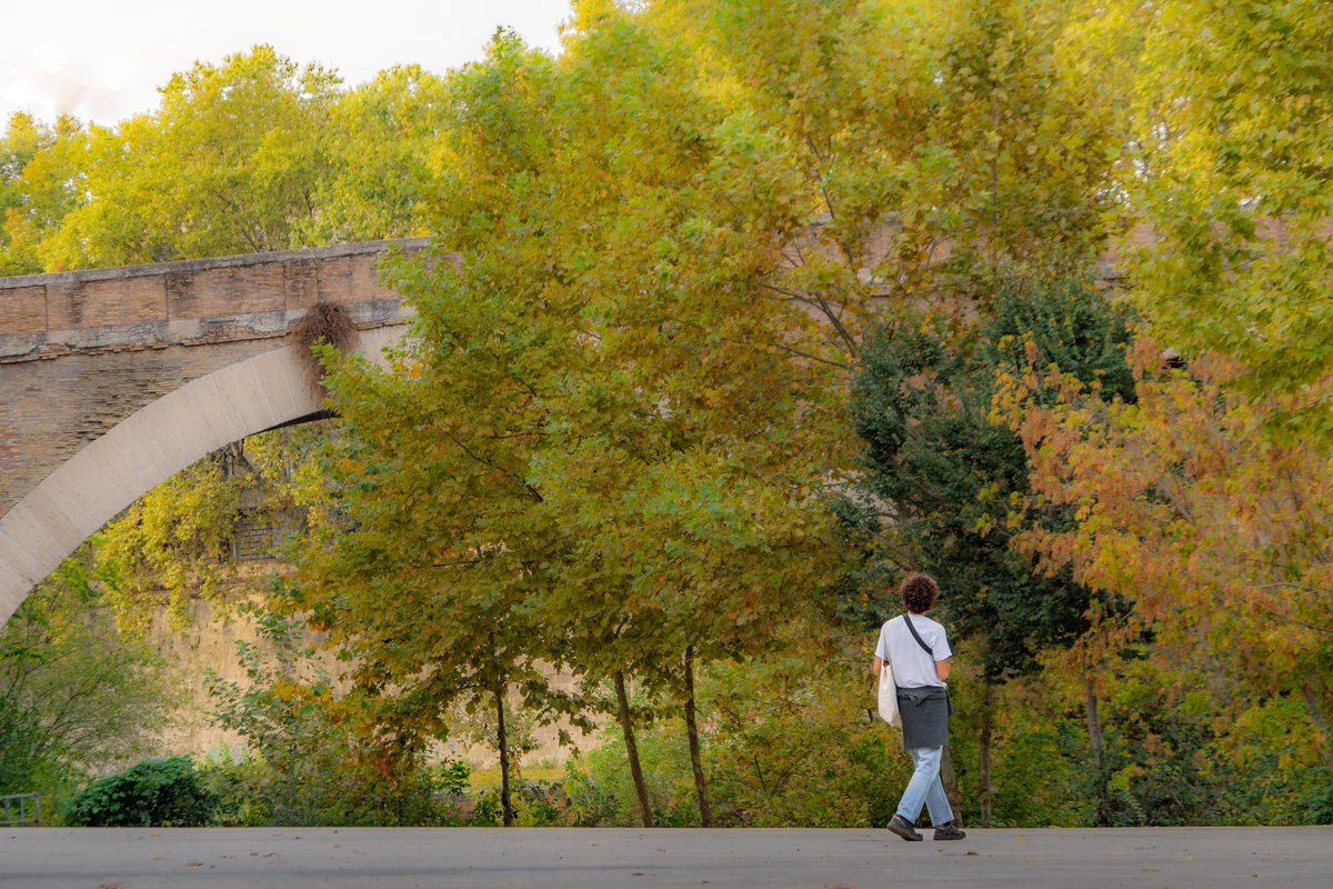 Had a great time exploring the backstreets of Rome with my camera with the help of @niccola_bar . Surprised to find such beautiful solitude in a city whose sites host 7 million visitors a year .