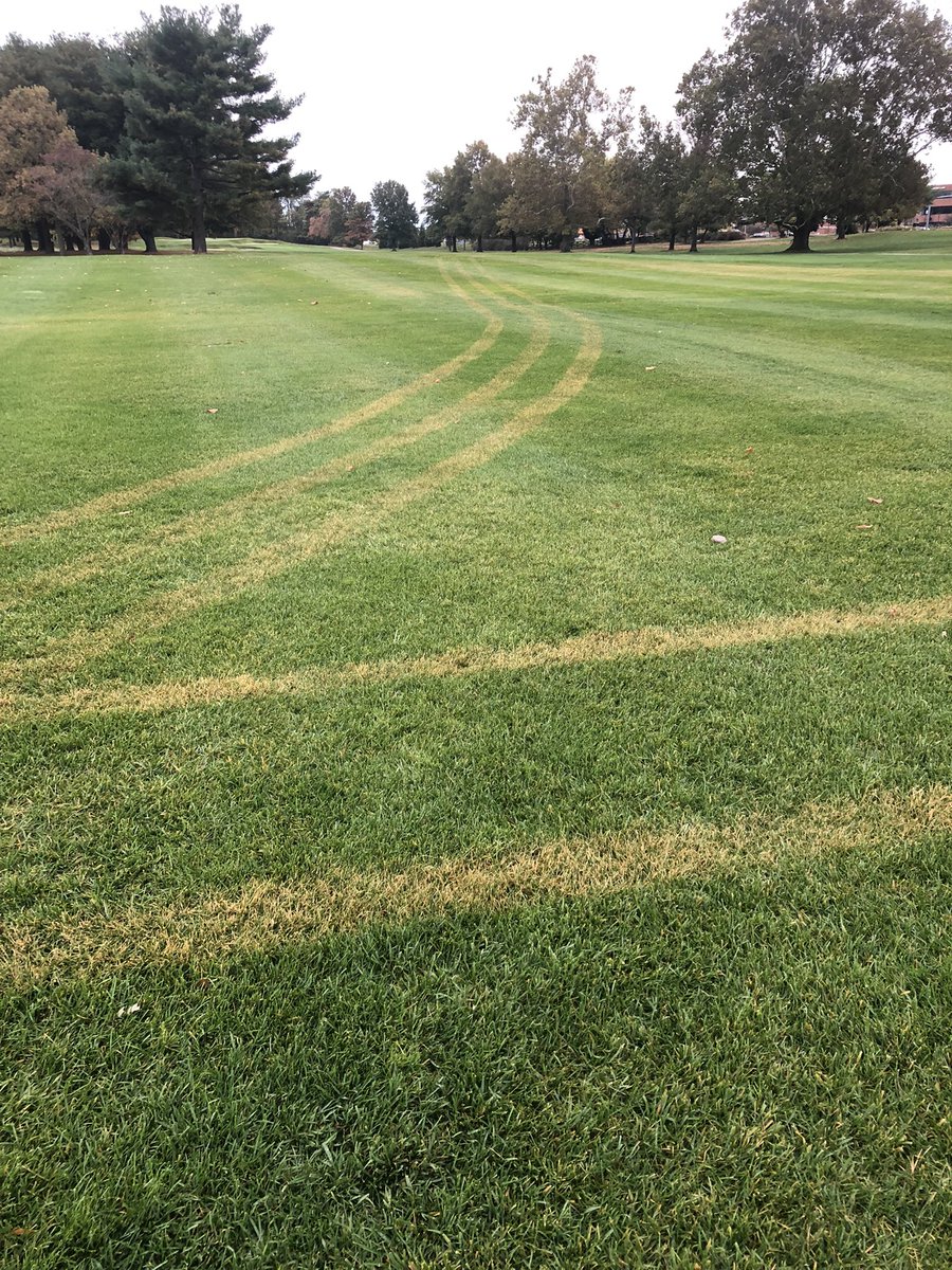 Nathaniel tweet media