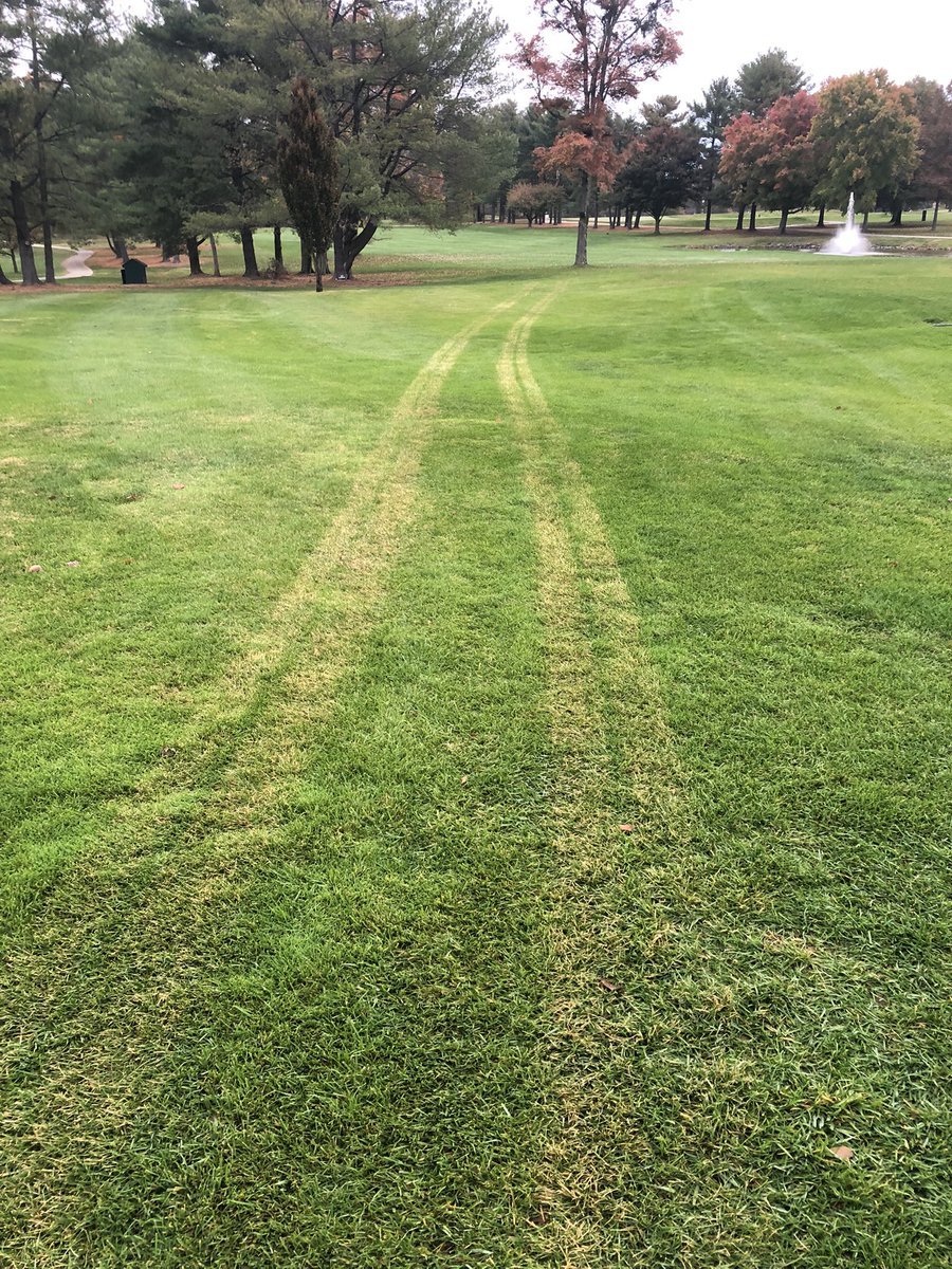 Nathaniel tweet media