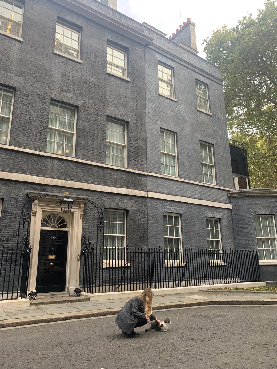 LivColes's tweet photo. Making friends 🐱 @Number10cat https://t.co/ZODAavmSY3