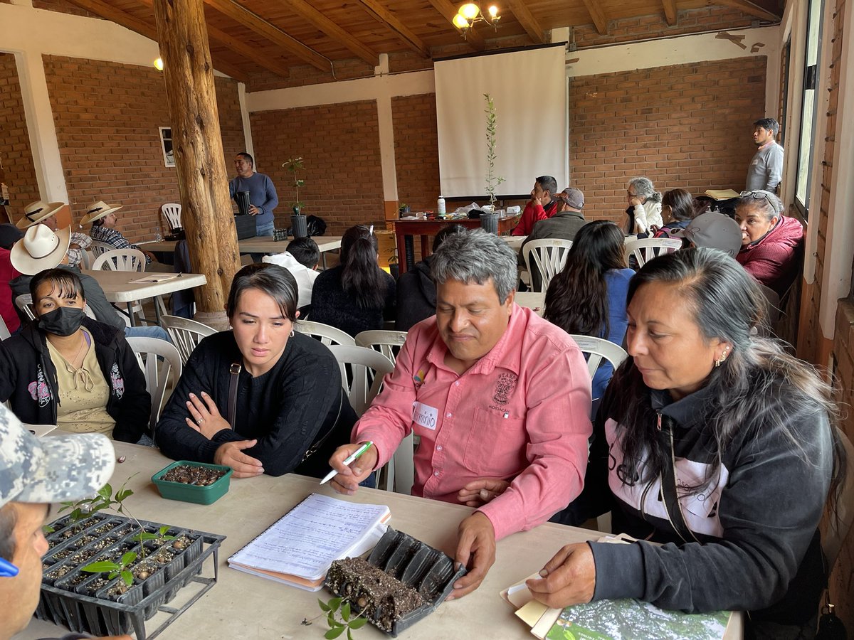 An amazing oak propagation course in Senguio Michoacan was amazing. 41 participants from 10 local organizations attended, thanks to #USFS and #Franklinia,  We are so proud.<a href="/MortonGTCP/">GlobalTrees@Morton</a> <a href="/bgci/">Botanic Gardens Conservation International</a> <a href="/JardinBuap/">Jardín Botánico Buap</a> <a href="/IUCNssc/">IUCN Species Survival Commission</a>  more tomorrow!