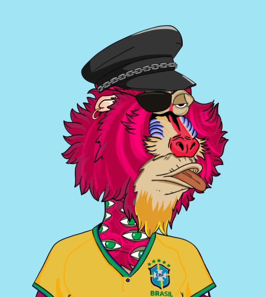 Apefootballcup's tweet image. NFT with free mint on the football world cup ethereum network!

@Apefootballcup 

#NFTs #NFTCommunity #nfteth 
#cupqatar #football