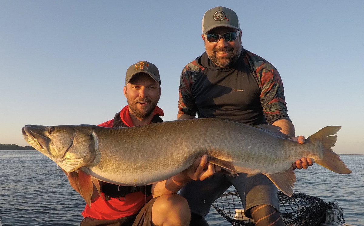 Alex Boutin tweet media