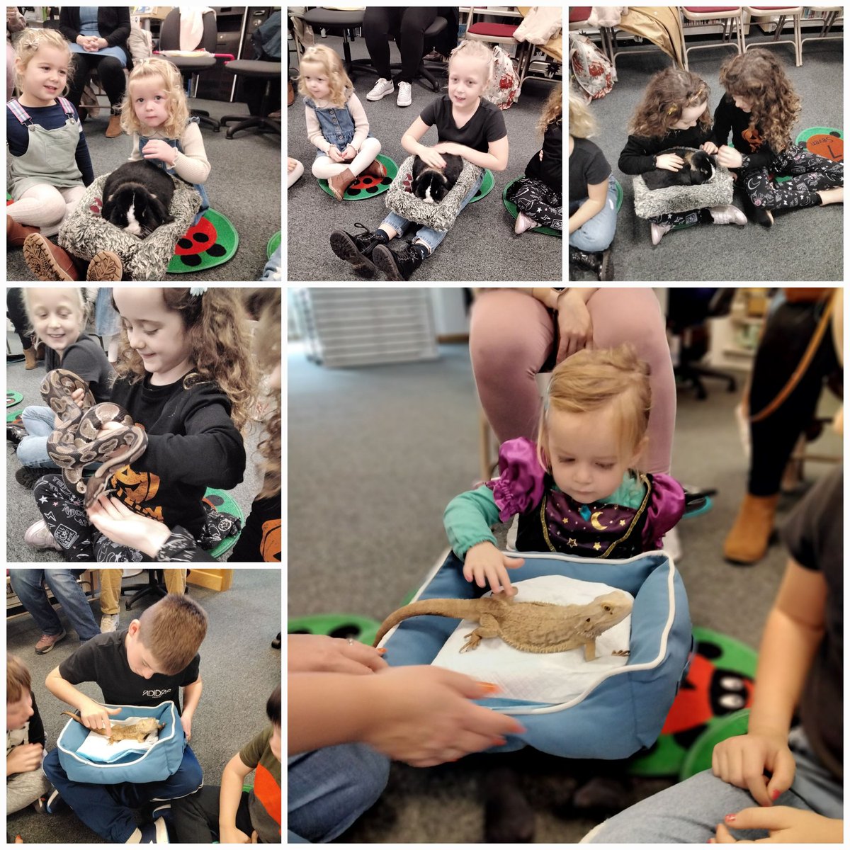 Wakefield Libraries tweet media