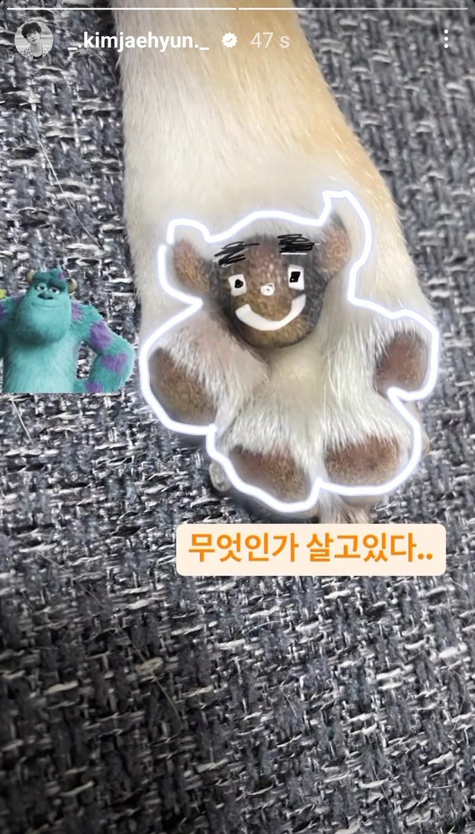 Utopia_world__'s tweet photo. En esta cuenta amamos las patitas de Deokbae 🐾✨💗
#NFlying https://t.co/xM7aJLNnDI