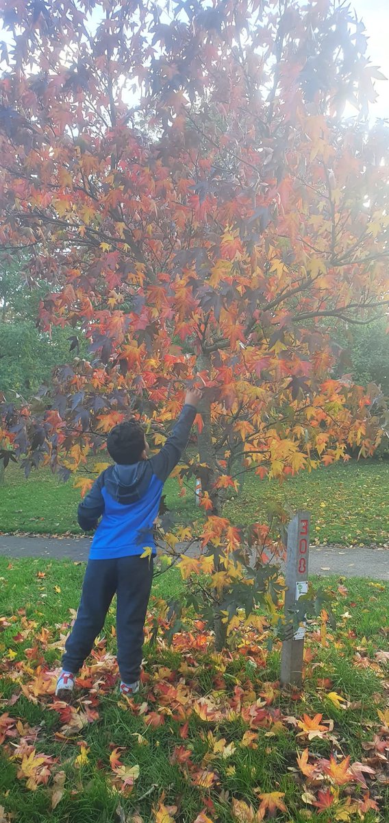 Mohamed belaiche tweet media