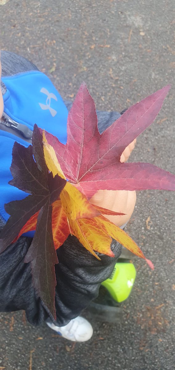 Mohamed belaiche tweet media