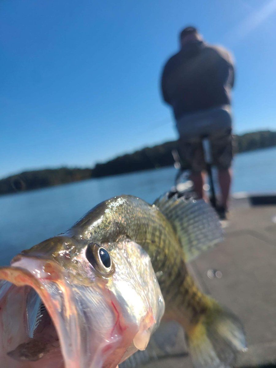 GodwintheWalrus's tweet photo. Daddy Daughter fishin https://t.co/WRjrJudcBo