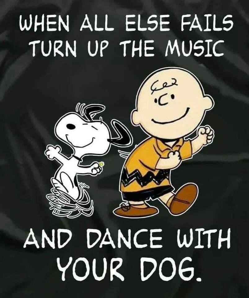 AnnaMusicby's tweet photo. Yep good advice! Tailor and Daisy get your dancing shoes on! #musicfun #musictrivia #musicanimals https://t.co/xSL4p6k4wG