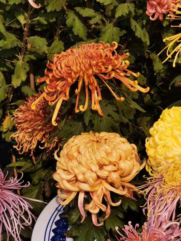 Autumn in Beijing！