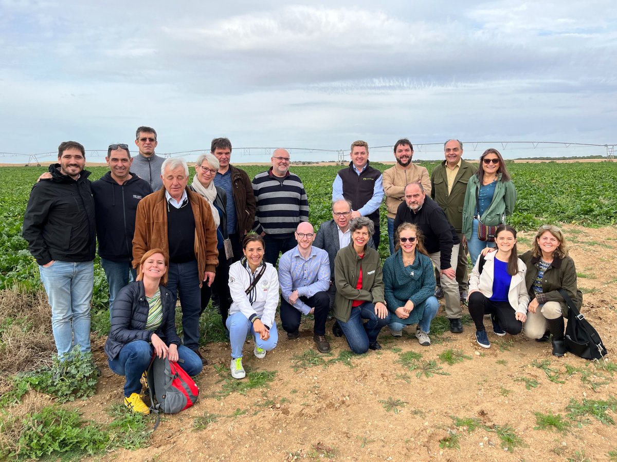 @Azucarera ha reunido en Zamora a los miembros del Comité Europeo de Fabricantes de Azúcar <a href="/SugarEurope/">EU Sugar Manufacturers</a> en unas jornadas de trabajo. Conocieron nuestra fábrica de Toro y últimos avances agronómicos de <a href="/AIMCRA/">AIMCRA</a> #sugar #beet #remolacha #agricultura 
laopiniondezamora.es/toro/2022/10/2…