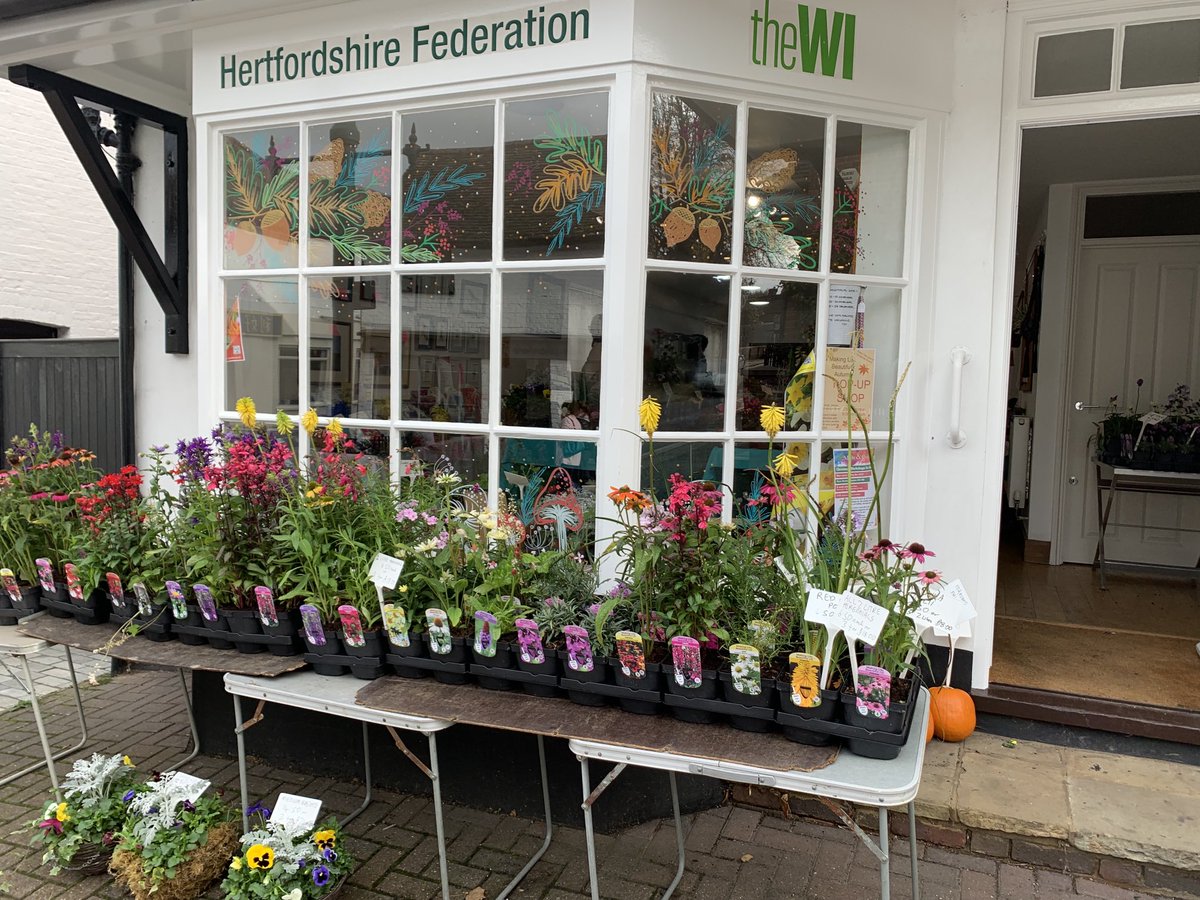 Making Life Beautiful has a pop-up shop in Wheathampstead. Do drop by!