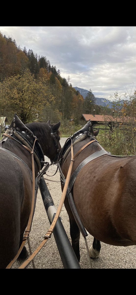 تركت المكان ليسع فقط لمن أردتم أن تألف قلوبكم به ، وغادرت ، ولست نادمه على شي مضى بل على وقتي الذي أهدرته لأشخاص لا يستحقون 😔