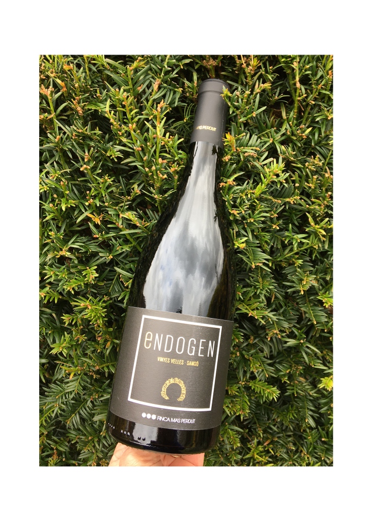 Time to go the full autumn?🍂

Mas Perdut Endogen Samsó 2020

A wine for cosy evenings as the nights draw in. 🥰

#Laltrevi #catalanwine #drinkmorecatalanwine #natural #organic #biodynamic #lowintervention #wildwine #yes #wineforall #veganwine #IndieOxford