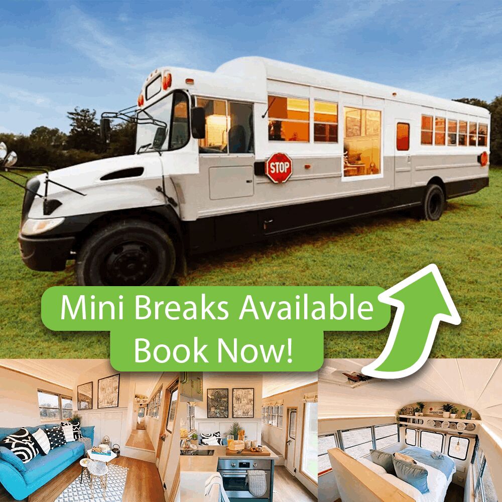 TheTouristTrail's tweet image. 📆 𝗕𝗼𝗼𝗸 𝗡𝗼𝘄
​
𝗧𝗵𝗲 𝗪𝗶𝗹𝗱𝗮𝘄𝗮𝘆 𝗕𝘂𝘀
📍 East Sussex
This unique converted bus offers a 2-night mini-break for 2 from £330!

𝗖𝗵𝗲𝗰𝗸 𝗔𝘃𝗮𝗶𝗹𝗮𝗯𝗶𝗹𝗶𝘁𝘆 👇
thetouristtrail.org/business/east-… 

#minibreaks #stayfor2 #convertedbus #quirkystays #booknow