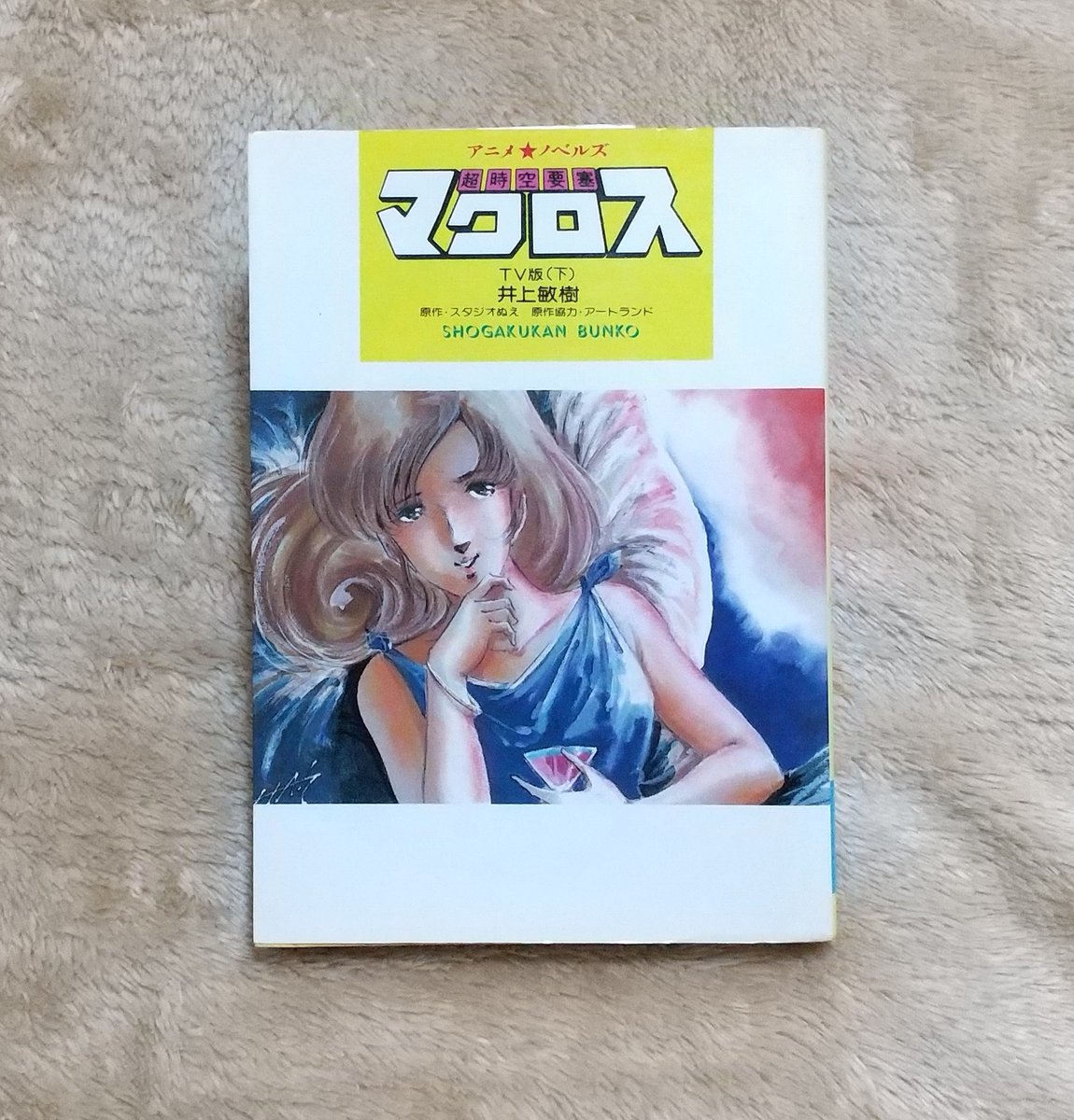 shallot777's tweet photo. こちらはTV版の書籍。
やはりデザインが今と違います。

#超時空要塞マクロス
#愛おぼえていますか
#マクロス
#マクロス40周年
#macross40th https://t.co/LUOgbaG5MN