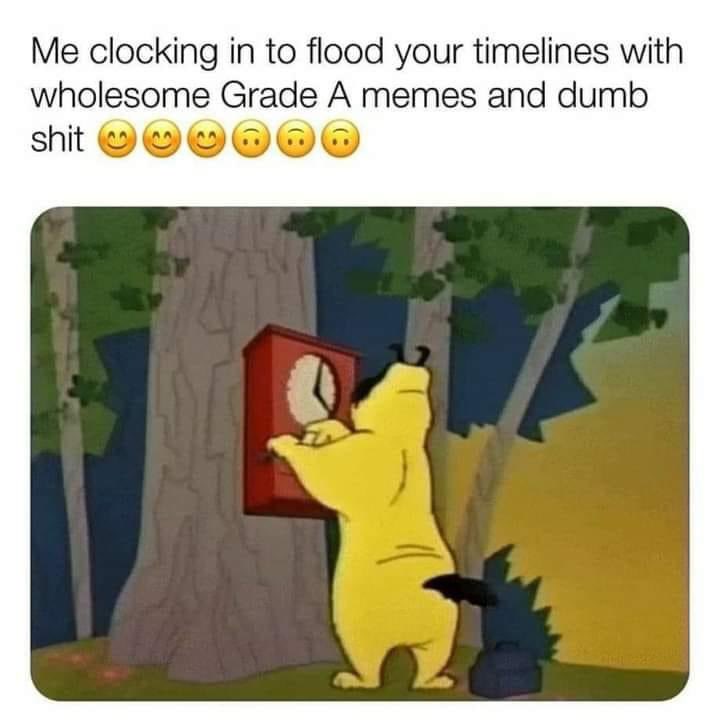 Anje Vela tweet media