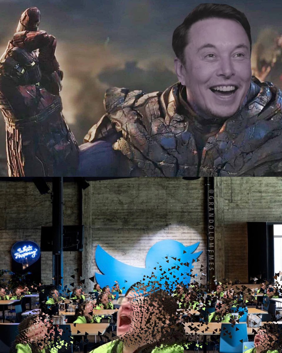 crypto_birb's tweet photo. @elonmusk Let’s gooo @elonmusk https://t.co/3CHFYK10gO