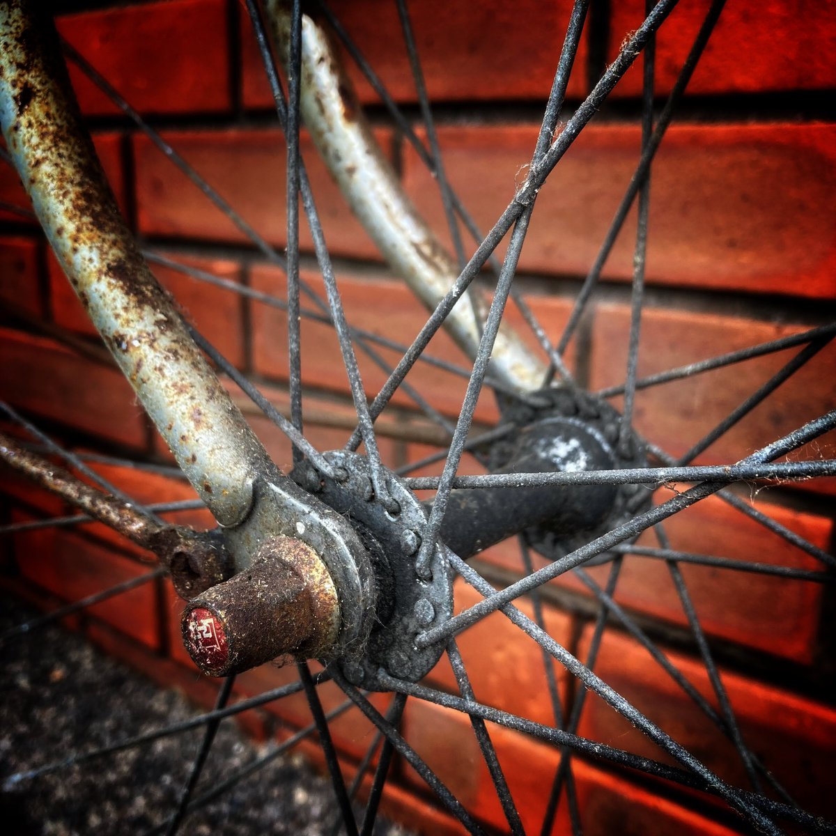the_bicycle_boy's tweet photo. Friday’s are filled with joy. This is today’s treasure. #rusted #oldschool #steelbike #daysofold #graceful #elegance #streetphotography #iphotography #thebicycleboy https://t.co/4X5AKN7qXt