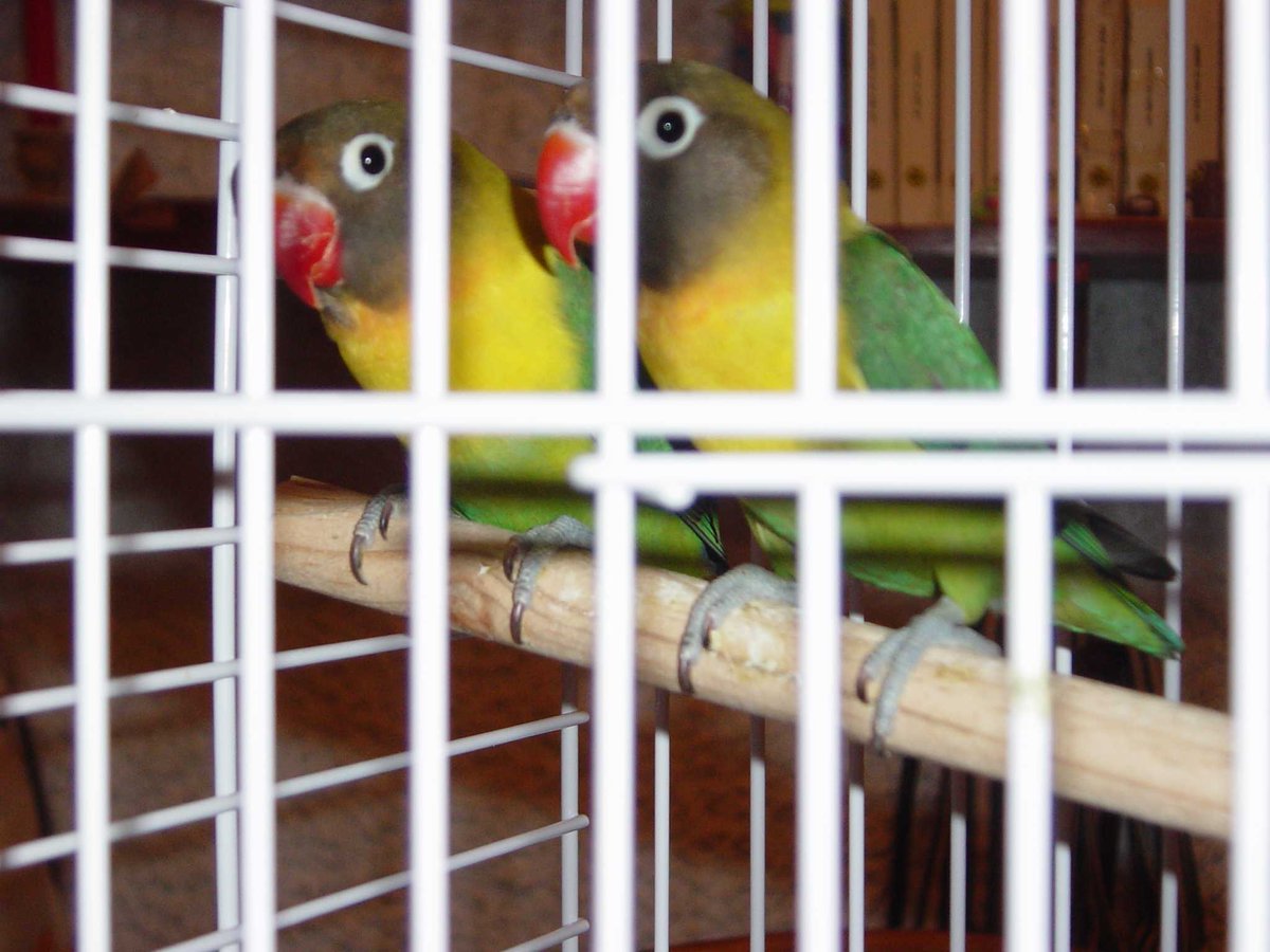 elmaridodecarmen.bandcamp.com/track/ella-se-…
ELLA SE FUE.