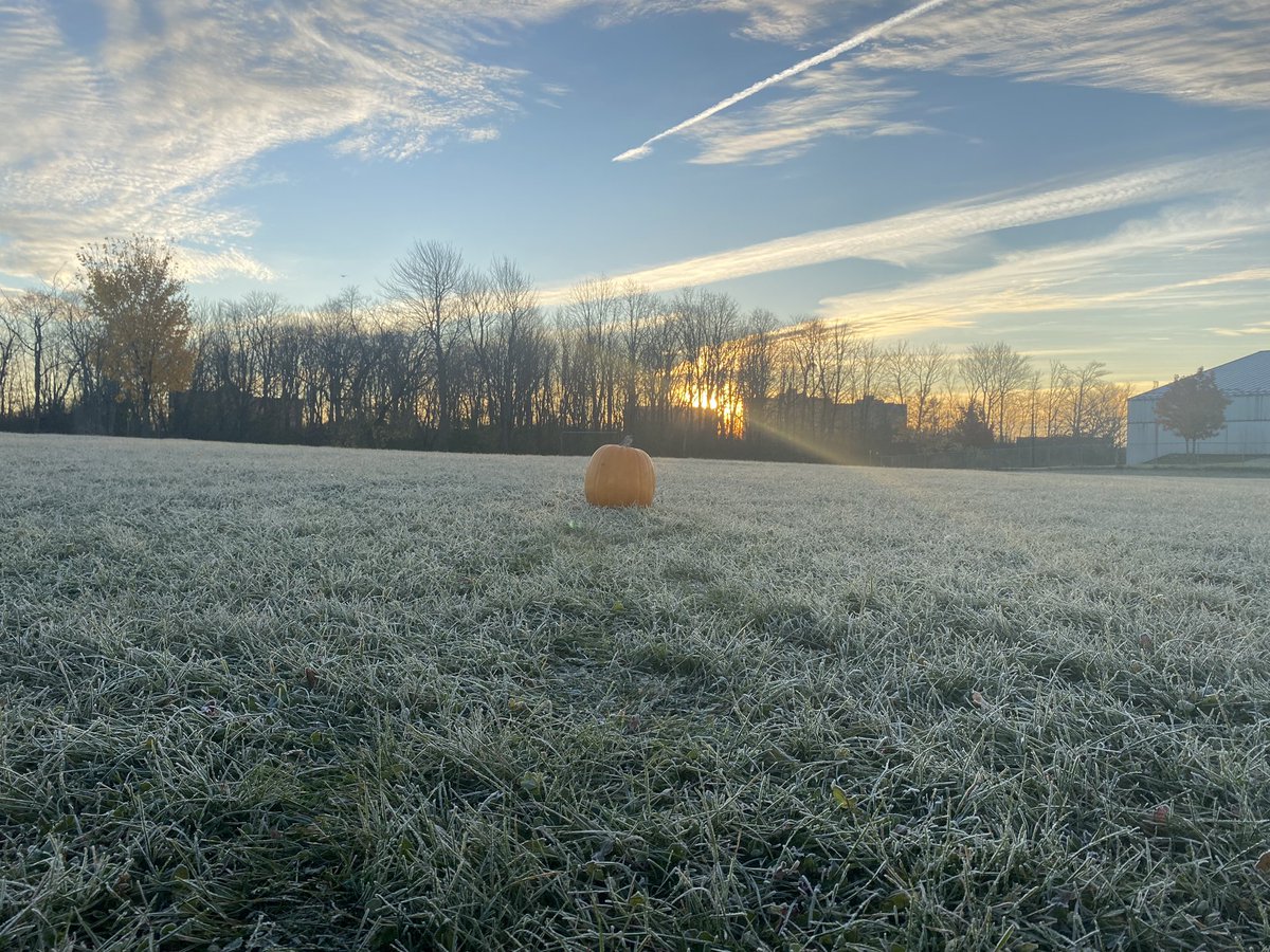 HulseH's tweet photo. Pumpkin wanted to play... Rolled across the field to hide and stay...
Happy scavenger hunt to the students at Hulse today...
#ocssb #scavengerhunt https://t.co/l21pZT1KVm