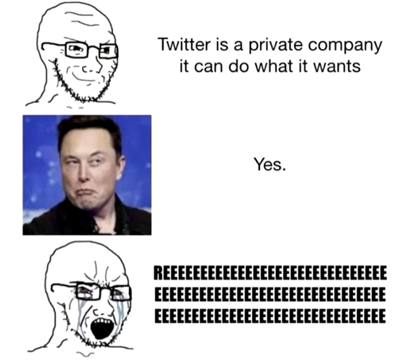 GrimmRockwell's tweet photo. @KimDotcom Let's GO! https://t.co/Suq2WMSQQd