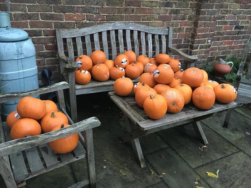 Lots of pumpkins ready for our #Halloween workshop on Saturday. Come along to the scout hall between 2 - 4pm, £1 entry per child. Bring your own 🎃 or buy 1 of ours £2. Then help to create a spooky lantern trail in the park at 6pm. #portslade #brighton 👻