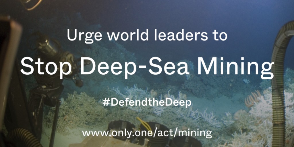 DeepSeaConserve's tweet image. #DeepSeaMining risks causing irreversible damage to one of our planet’s last remaining wilderness areas.

Before #ISA27 kicks off next week, add your voice to growing calls for a stop ➡️ only.one/act/mining #KeepItInTheDeep #DefendTheDeep