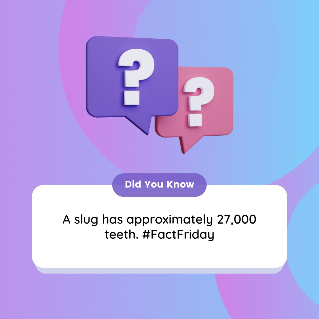 Bespokeconnectd's tweet photo. A slug has approximately 27,000 teeth. #FactFriday

#slugs #teeth https://t.co/Q3UPfXB0WQ