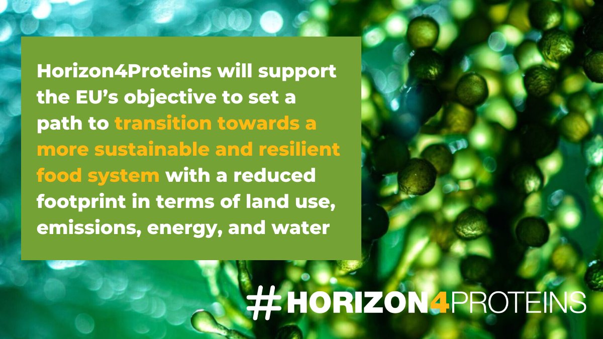 Reducing the environmental footprint of food production is not easy… For this reason, #Horizon4Proteins Cluster is creating solutions to support the EU in realising this goal. Visit our websites to find out how. 
#nextgenproteins #ProFutureEU #SmartProteinEU #susinchain #COP27