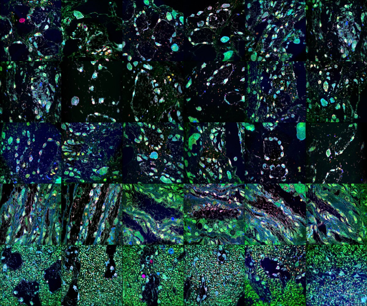 In a little over two weeks time, we will be having our brand new Webinar focusing on the use of nanoSIMS in life/medical sciences.
Join and spread the word!

uu.nl/en/events/webi…