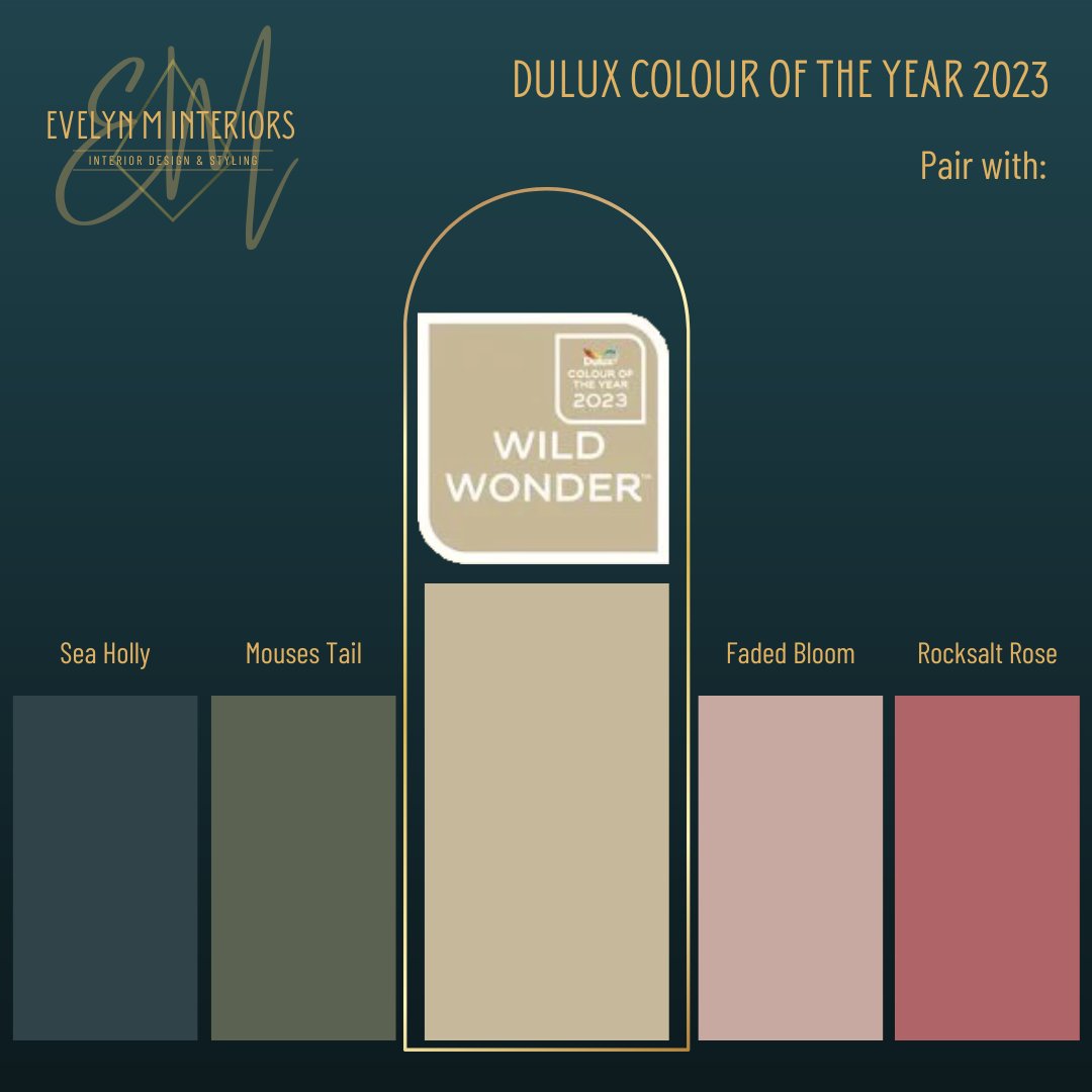 Deluxe Colour of the Year 2023 - Wild Wonder
#dulux #colouroftheyear ##wildwonder