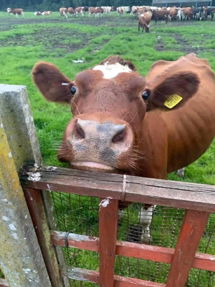 Mrs Sharples tweet media