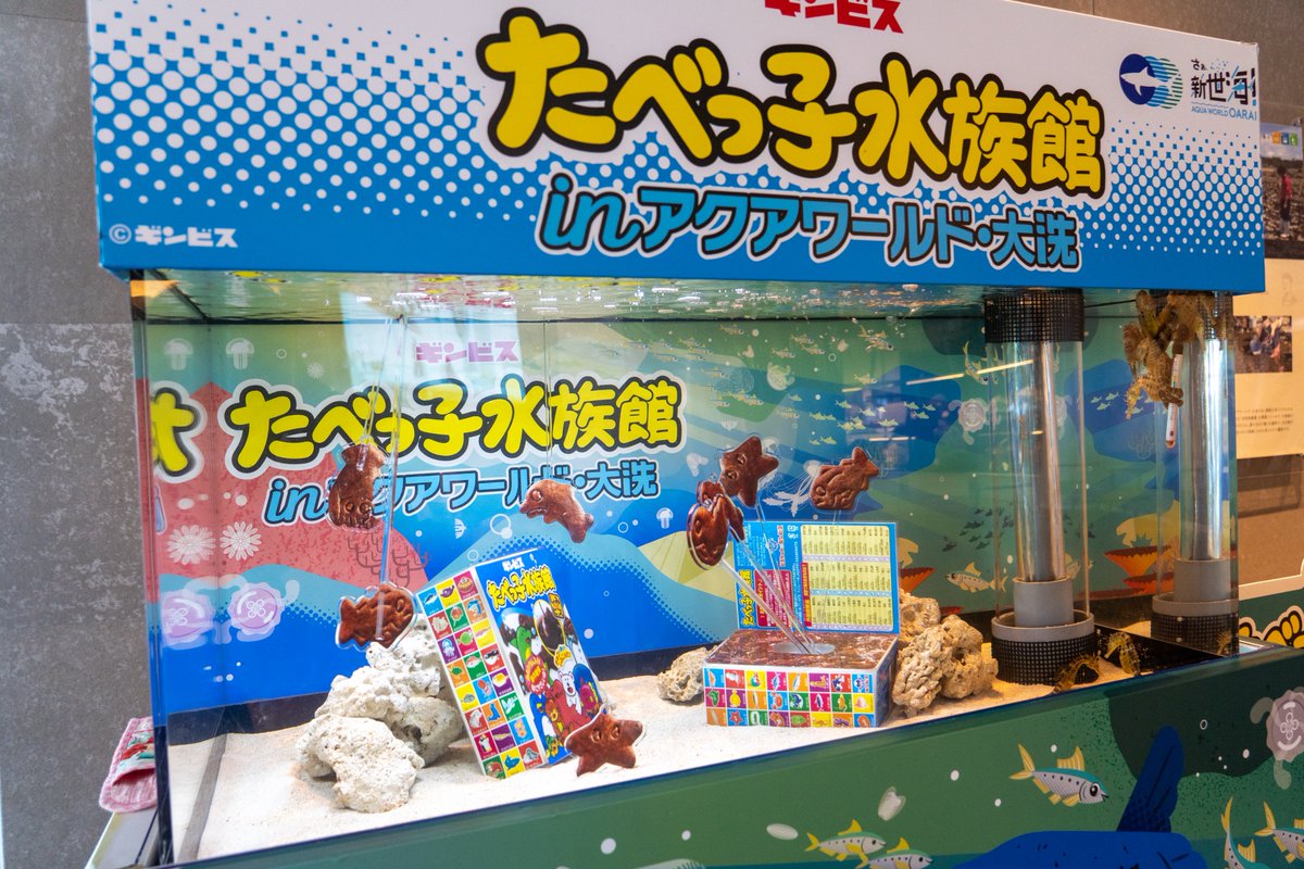 rolleilei's tweet photo. たべっ子どうぶつたちが泳いでた…！

#アクアワールド #大洗水族館 #たべっ子どうぶつ https://t.co/YD8OORIaVf