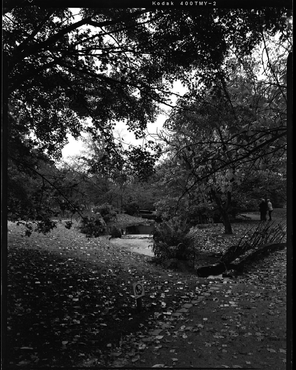 roelandhens's tweet photo. Japanese garden, Hasselt 2022 #largeformatphotography #4x5 #tmax400 #KODAK #filmphotography https://t.co/PidBrBl5qW
