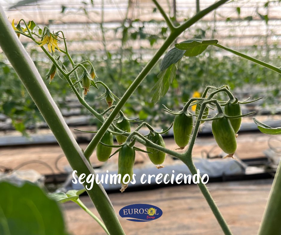 Eurosol (@eurosolgroup) on Twitter photo 