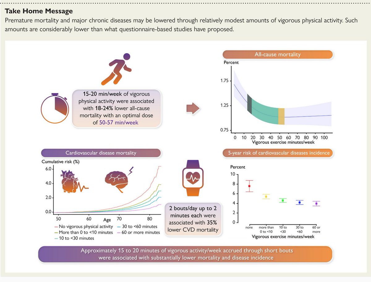 How little vigorous intensity #PhysicalActivity (VPA) is enough? Two bouts/day of only ≤2mins each ➡️35%⤵️ in CVD death risk (!)  tinyurl.com/EurHeartJrn  1st device-measured VPA dose-response paper ➡️ MUCH smaller amounts than recommendations in (questionnaire-based) guidelines
