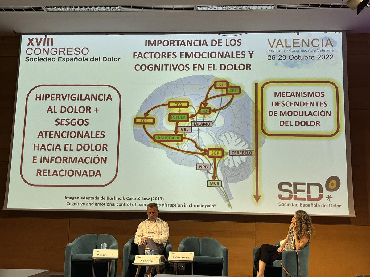 Relevancia del impacto en el rendimiento cognitivo y sesgos atencionales en las pacientes de fibromialgia <a href="/Sedolor/">Sociedad Española del Dolor</a> #SEDValencia22