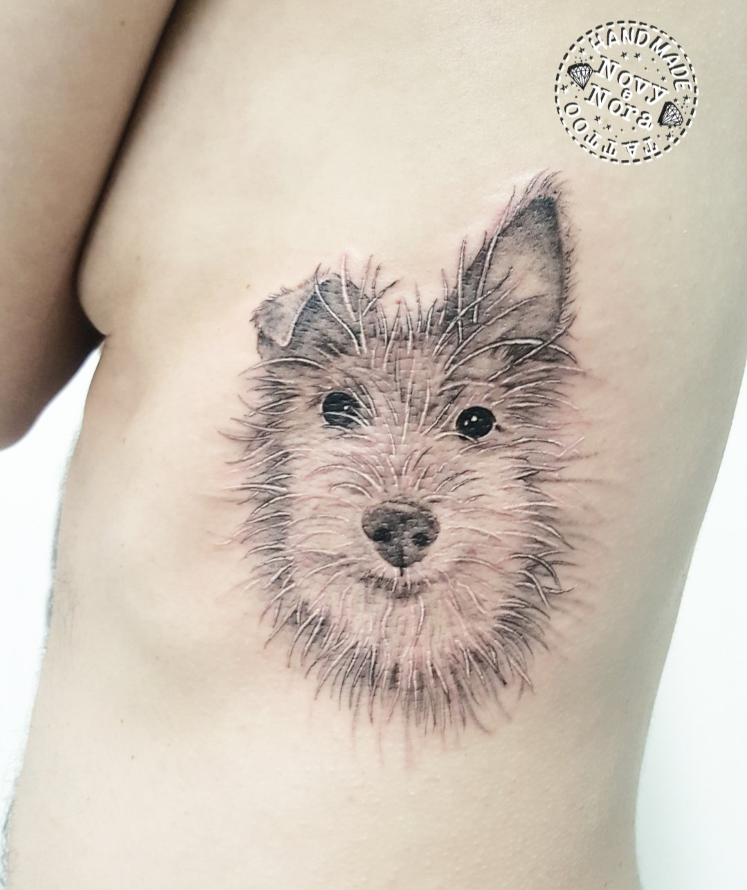 The 15 Best Jack Russell Terrier Tattoo Ideas  PetPress