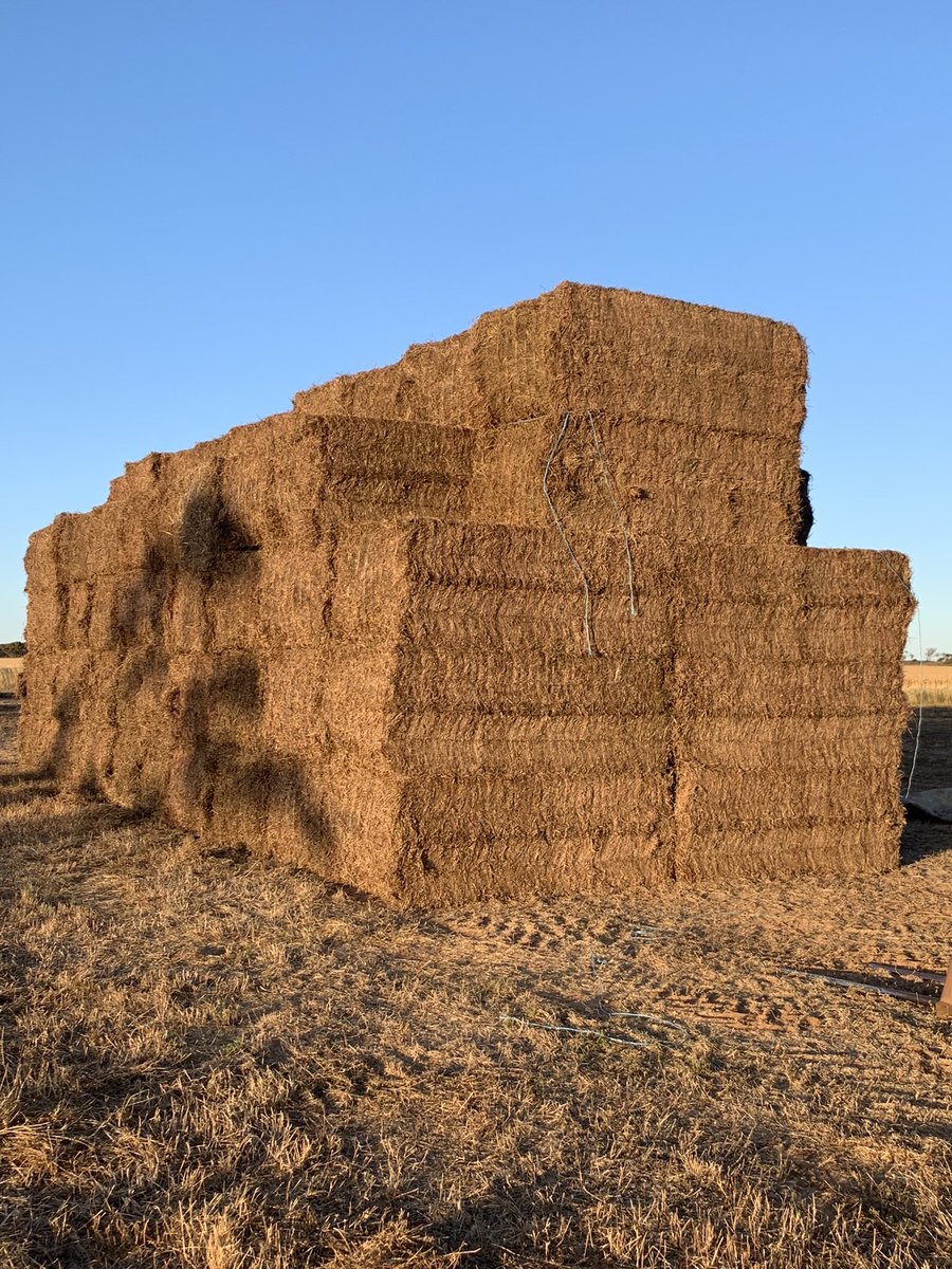 PJScoff's tweet image. We’re going to try and tarp this surplus Vetch hay tomorrow. Never done it before so any tips before we cuss &amp;amp; carry on would be appreciated.
It’s for sale too, DM if interested