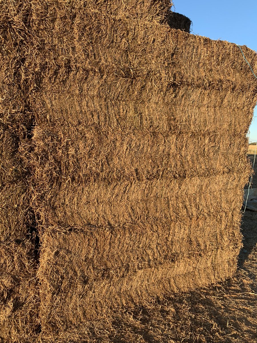 PJScoff's tweet image. We’re going to try and tarp this surplus Vetch hay tomorrow. Never done it before so any tips before we cuss &amp;amp; carry on would be appreciated.
It’s for sale too, DM if interested