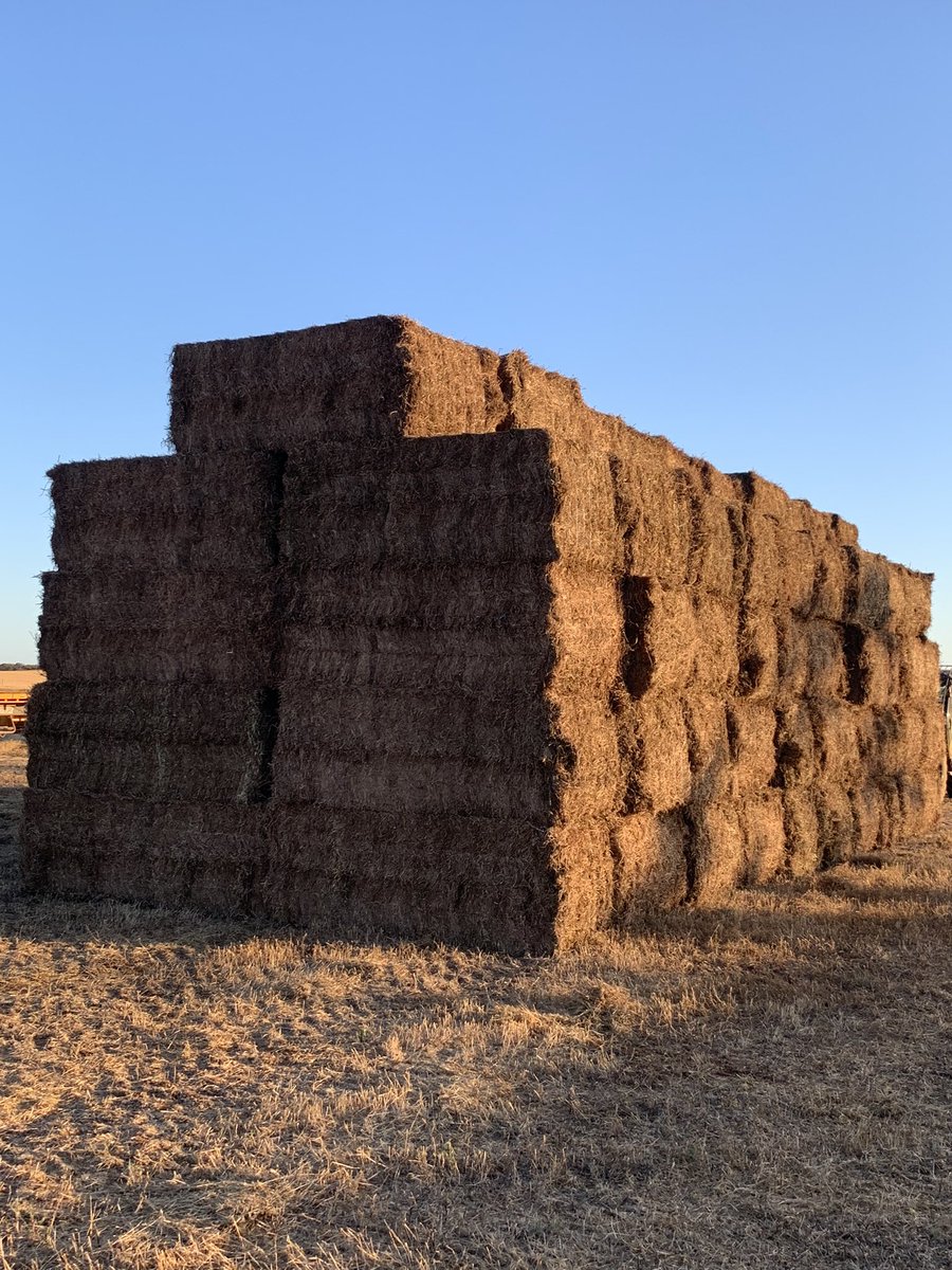 PJScoff's tweet image. We’re going to try and tarp this surplus Vetch hay tomorrow. Never done it before so any tips before we cuss &amp;amp; carry on would be appreciated.
It’s for sale too, DM if interested
