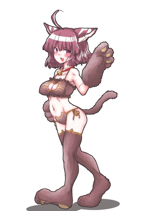 #きりたんキラキラ金曜日 
今日のねこランジェリーです 