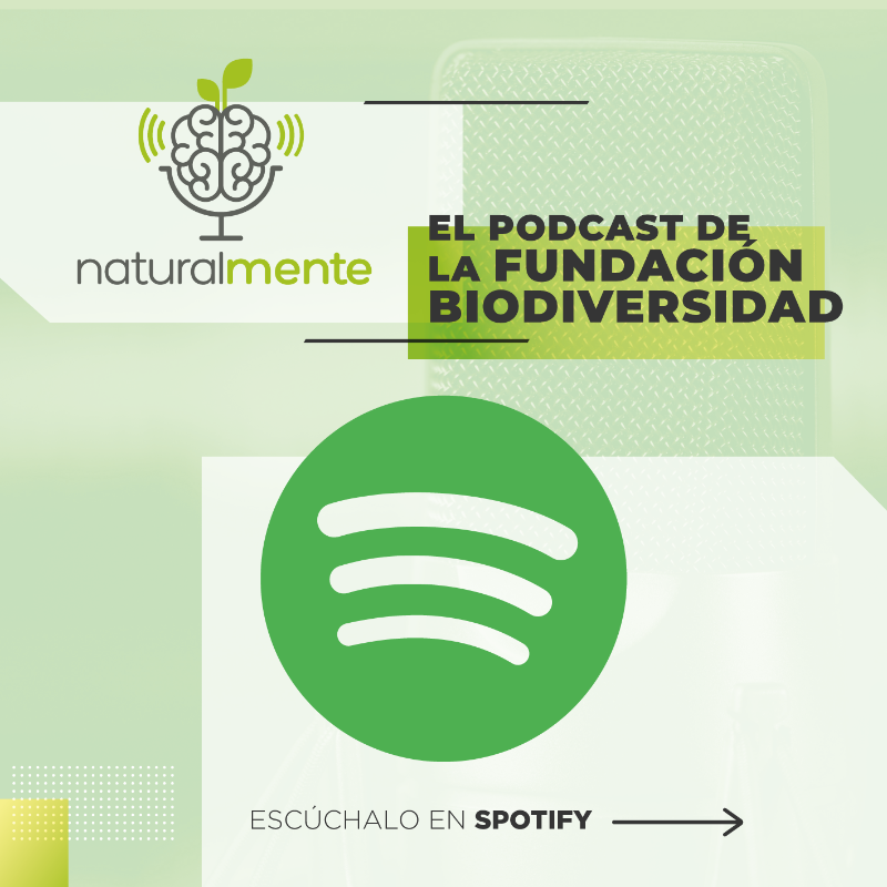 FBiodiversidad's tweet photo. 📢 Ya puedes escuchar el 2º episodio del #Podcast Naturalmente "Si no cuidas tu casa, la casa se te viene abajo"

Hablamos con @juanluiscano de sus inquietudes medioambientales, de su pasión por el submarinismo, del papel de los medios de comunicación, las empresas y la política.