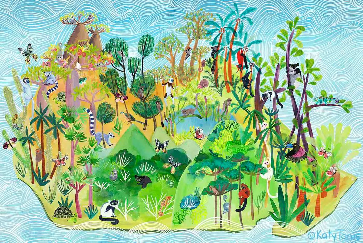 Madagascar | Happy #LemurDay !